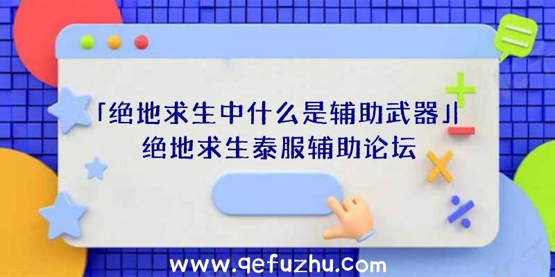 「绝地求生中什么是辅助武器」|绝地求生泰服辅助论坛